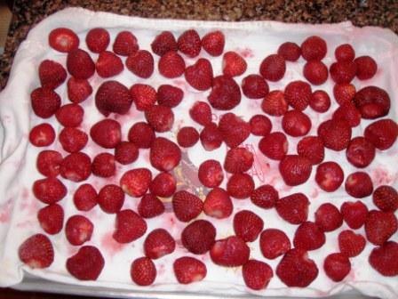 Berries rinsed and placed on towel, ready to be frozen