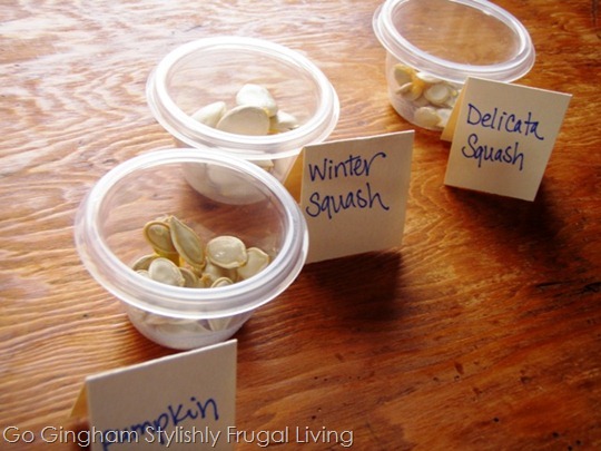 Roasted Pumpkin and Squash seeds Roasted Pumpkin and Squash seeds