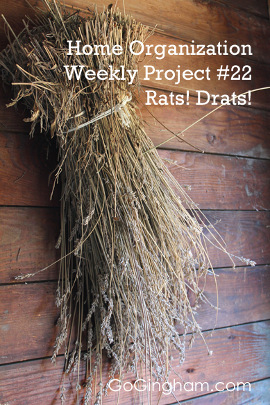 Home Organization Project Week #22 from Go Gingham