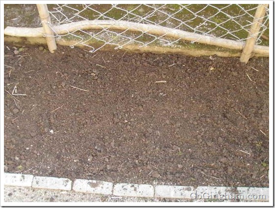 Growing Vegetables in a Small Space