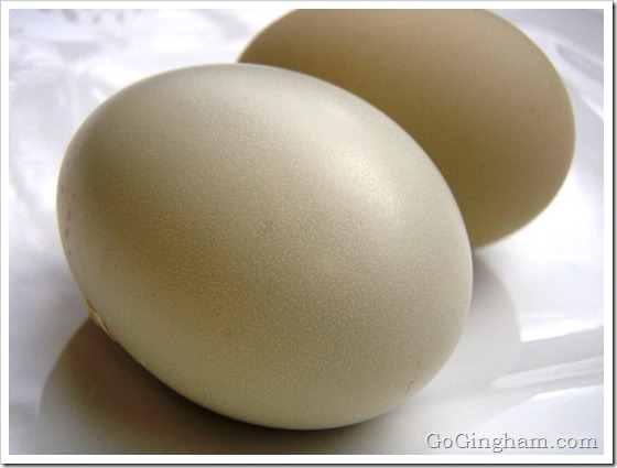 Go Gingham: Fresh eggs