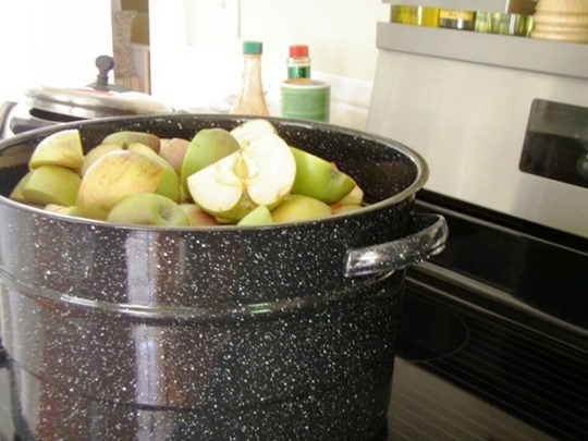 Homemade applesauce recipe