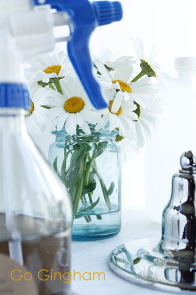 Shiny, green and clean with Go Gingham