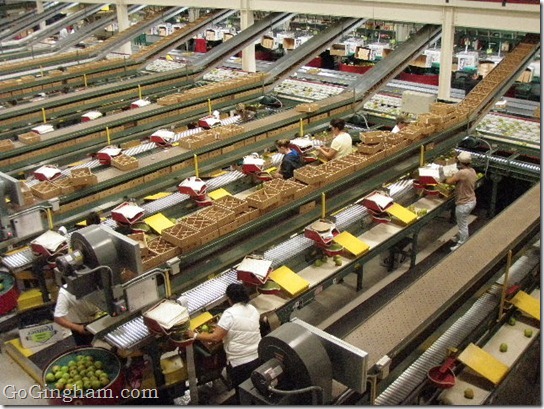 Harry and David Orchard Tour