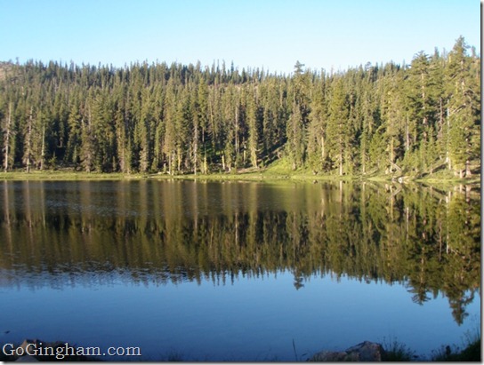 Go Gingham: Time as a Luxury