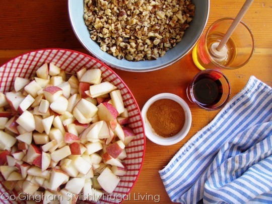 Apples Walnut Cinnamon Go Gingham