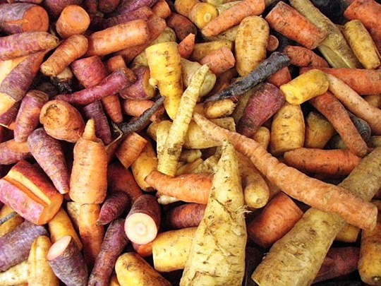 Buy what's in season Go Gingham