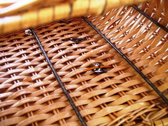 New briefcase for BlogHer Food New briefcase for BlogHer Food