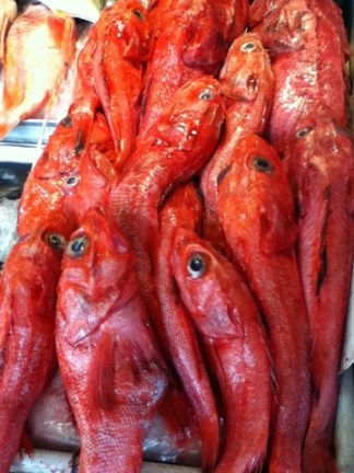 Frugal Fun in San Francisco Part 1