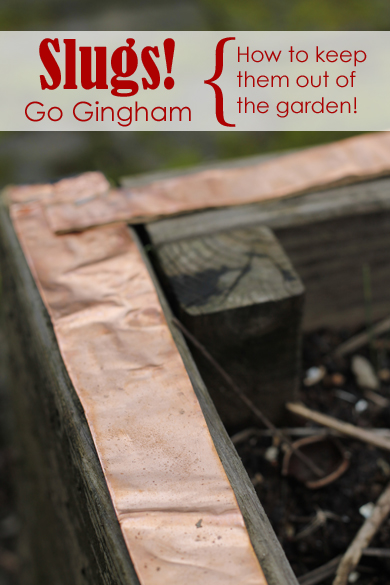 Copper roofing tape garden Go Gingham Copper roofing tape garden Go Gingham