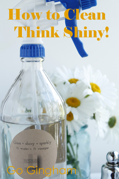 Think Shiny Clean with Go Gingham