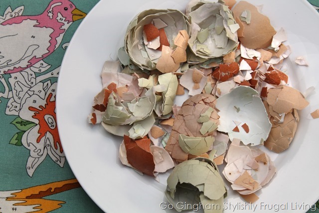 Go Gingham: Egg shells in the garden