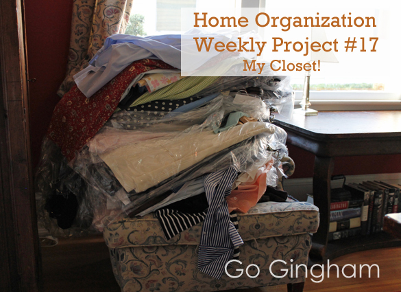 Home Organization week #17 with Go Gingham