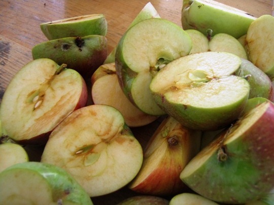 Good parts of apples