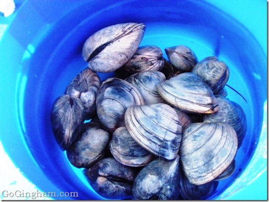 Happy Thanksgiving Happy Thanksgiving