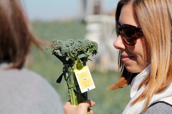 Experience Earthbound Farm with Go Gingham