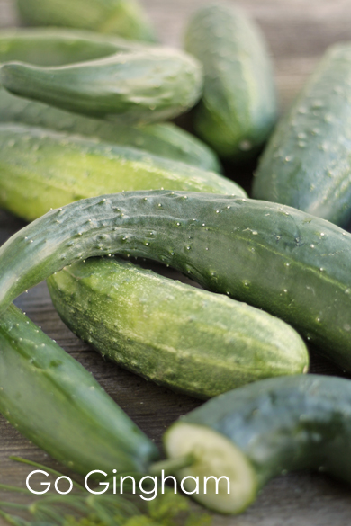 Cucumbers in zatziki recipe Go Gingham Cucumbers in zatziki recipe Go Gingham