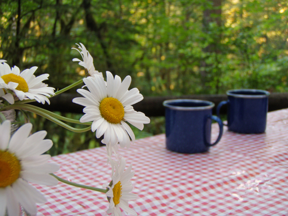 Camping in Oregon with Go Gingham
