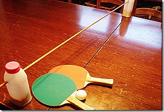 Ping Pong Table DIY Project       