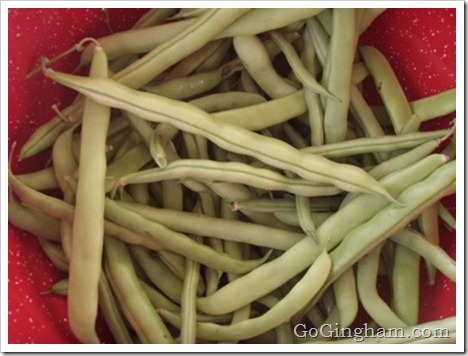 Growing Vegetables in a Small Space