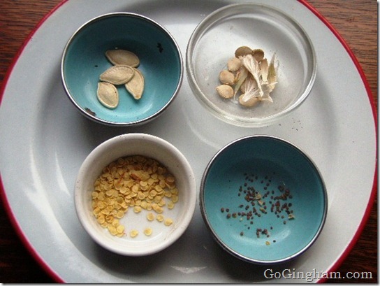 Growing Vegetables from Saved Seeds