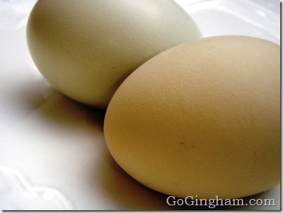 Go Gingham: How to hard boil eggs