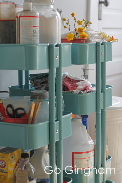 Cleaning and Laundry Supplies Go Gingham