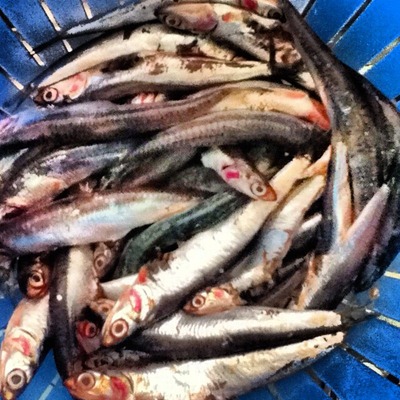 Go Gingham: Ask locals how to cook foods