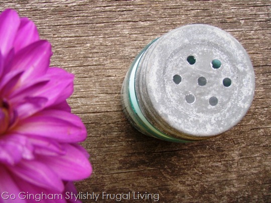 Go Gingham: Rethinking Cleaning and Laundry Supplies