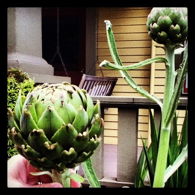 Go Gingham: Weekly Meal Plan