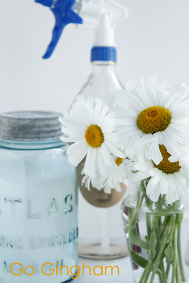 Clean with Go Gingham