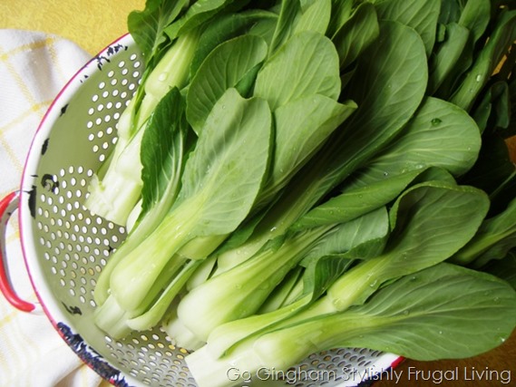 Monthly Meal Plan Go Gingham