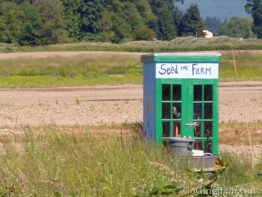 Strawberry Picking Adventures Strawberry Picking Adventures