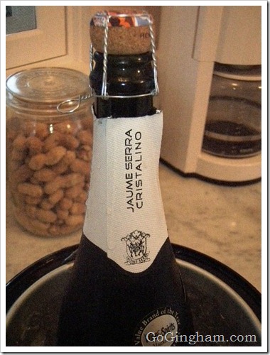 Go Gingham TV Show Premiere Party