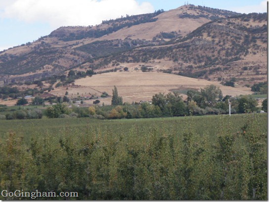 Harry and David Orchard Tour