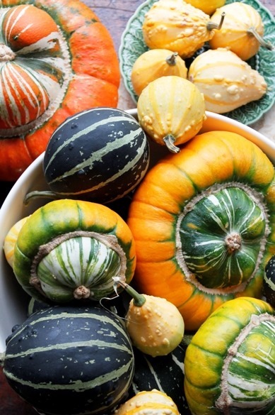 Vegetables for decorating and eating Go Gingham