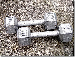 The Home Gym - hand weights
