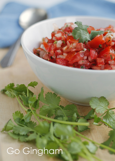 Fresh Salsa Go Gingham