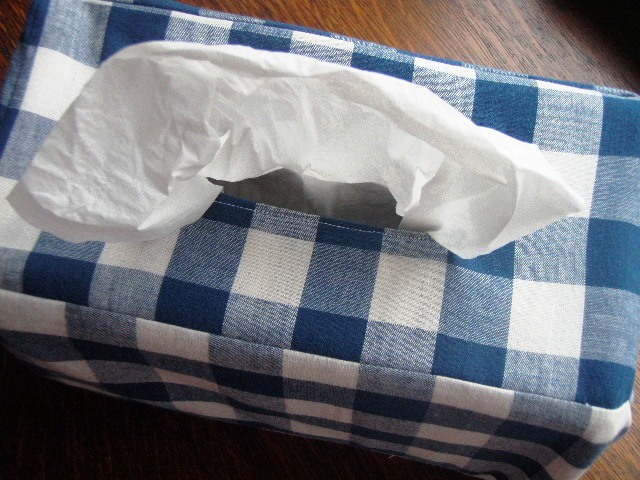 Go Gingham: Tissue box slipcover