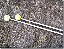 The Home Gym - walking poles