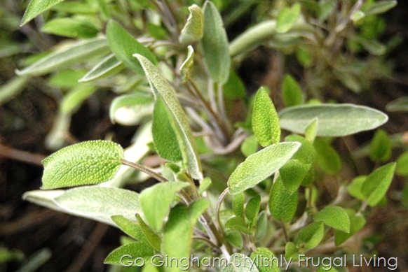 Meal plan for healthy eating at home