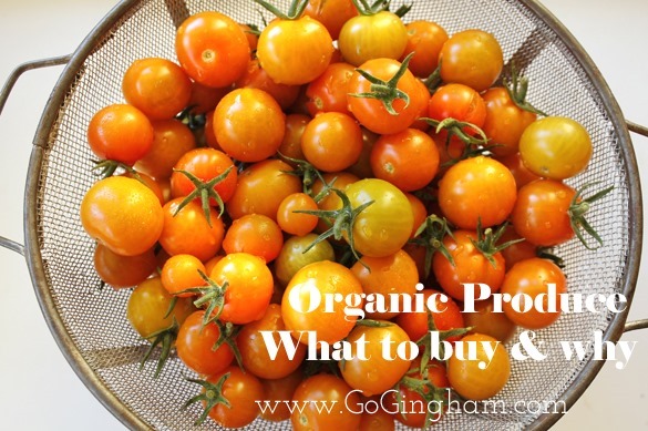 Go Gingham Stylishly Frugal Living