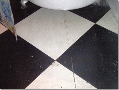 Goodbye Bathroom (57)