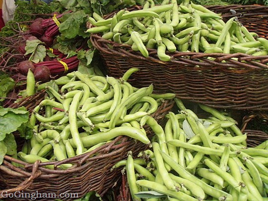 Go Gingham: Slow food and slow families