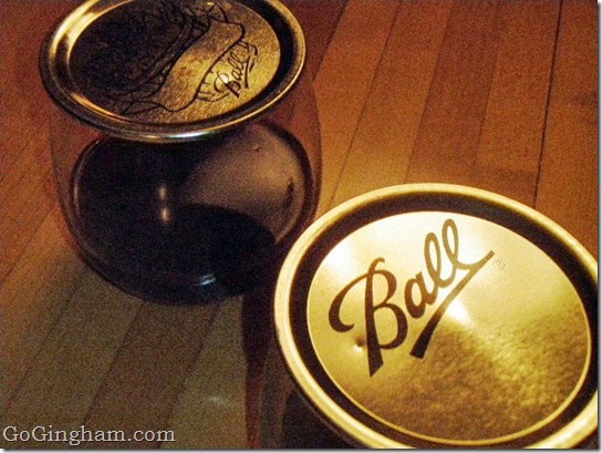 Go Gingham: Shoo Fly Don't Bother Me