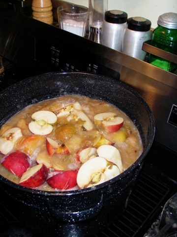 Easiest Applesauce recipe