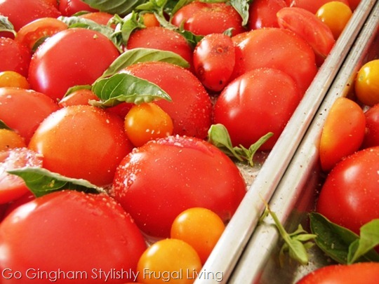 Go Gingham: Tomatoes from garden Go Gingham: Tomatoes from garden