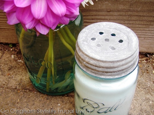 Simple cleaning supplies Go Gingham