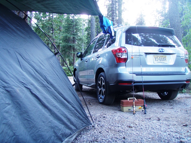 Go Gingham camping adventure