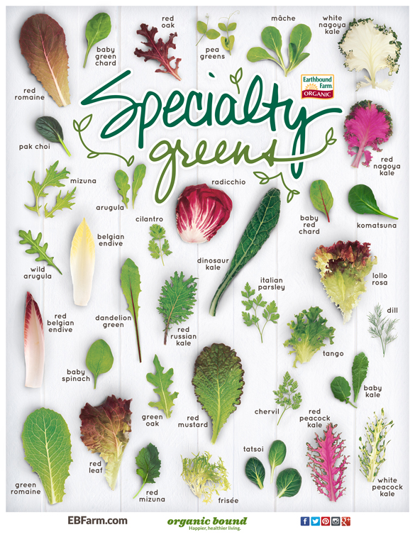 Greens Chart Resource from Earthbound Farm